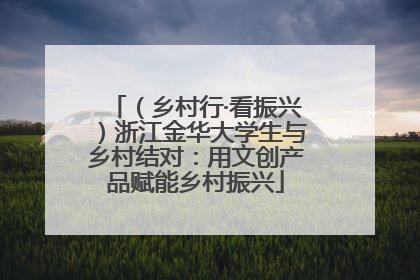 （乡村行·看振兴）浙江金华大学生与乡村结对：用文创产品赋能乡村振兴