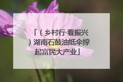 （乡村行·看振兴）湖南石鼓油纸伞撑起富民大产业