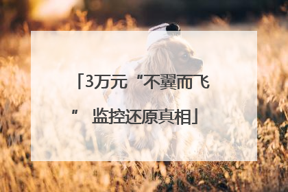 3万元“不翼而飞” 监控还原真相
