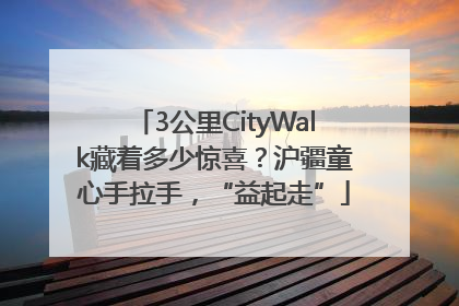 3公里CityWalk藏着多少惊喜？沪疆童心手拉手，“益起走”