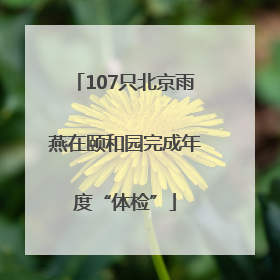 107只北京雨燕在颐和园完成年度“体检”