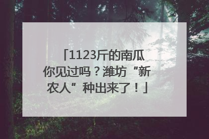 1123斤的南瓜你见过吗？潍坊“新农人”种出来了！