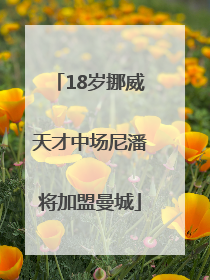 18岁挪威天才中场尼潘将加盟曼城