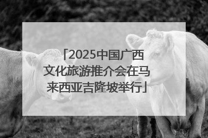2025中国广西文化旅游推介会在马来西亚吉隆坡举行