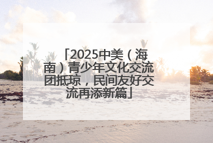 2025中美（海南）青少年文化交流团抵琼，民间友好交流再添新篇