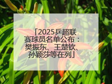 2025乒超联赛球员名单公布:樊振东、王楚钦、孙颖莎等在列