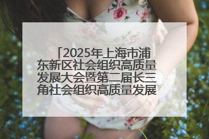 2025年上海市浦东新区社会组织高质量发展大会暨第二届长三角社会组织高质量发展峰会成功举办
