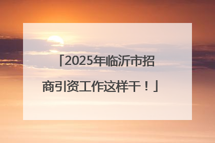 2025年临沂市招商引资工作这样干！