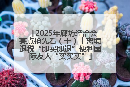 2025年廊坊经洽会亮点抢先看（十）丨离境退税“即买即退”便利国际友人“买买买”