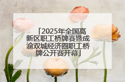 2025年全国高新区职工桥牌赛暨成渝双城经济圈职工桥牌公开赛开幕