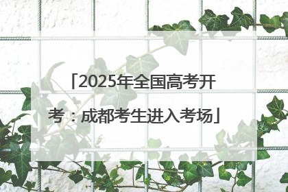 2025年全国高考开考：成都考生进入考场