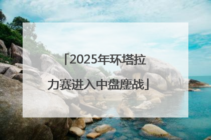 2025年环塔拉力赛进入中盘鏖战