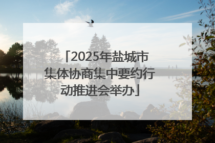 2025年盐城市集体协商集中要约行动推进会举办