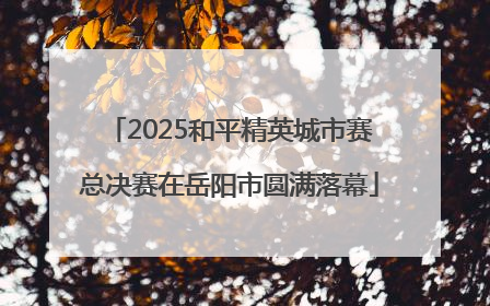 2025和平精英城市赛总决赛在岳阳市圆满落幕