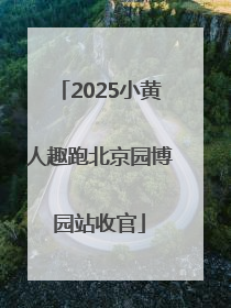 2025小黄人趣跑北京园博园站收官