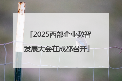 2025西部企业数智发展大会在成都召开