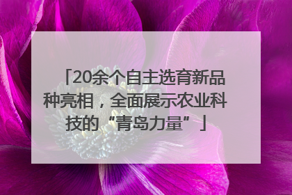 20余个自主选育新品种亮相，全面展示农业科技的“青岛力量”