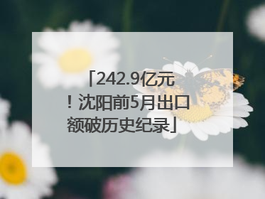 242.9亿元！沈阳前5月出口额破历史纪录