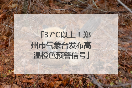 37℃以上！郑州市气象台发布高温橙色预警信号