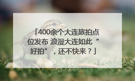 400余个大连旅拍点位发布 浪漫大连如此“好拍”，还不快来？