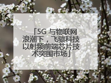 5G 与物联网浪潮下，飞骧科技以射频前端芯片技术突围市场
