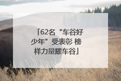 62名“车谷好少年”受表彰 榜样力量耀车谷
