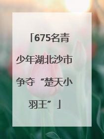 675名青少年湖北沙市争夺“楚天小羽王”
