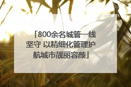 800余名城管一线坚守 以精细化管理护航城市靓丽容颜