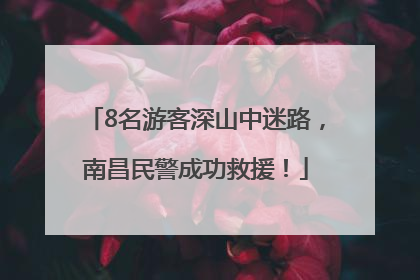 8名游客深山中迷路，南昌民警成功救援！
