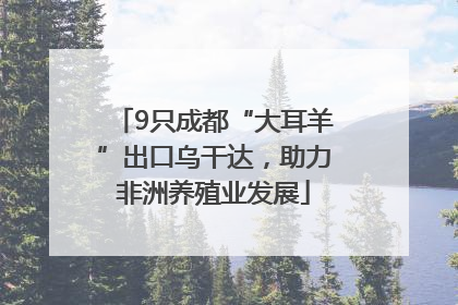 9只成都“大耳羊”出口乌干达，助力非洲养殖业发展