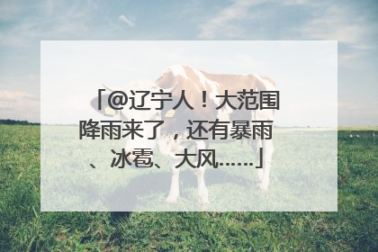 @辽宁人！大范围降雨来了，还有暴雨、冰雹、大风……