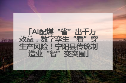 AI配煤“省”出千万效益，数字孪生“看”穿生产风险！宁阳县传统制造业“智”变突围