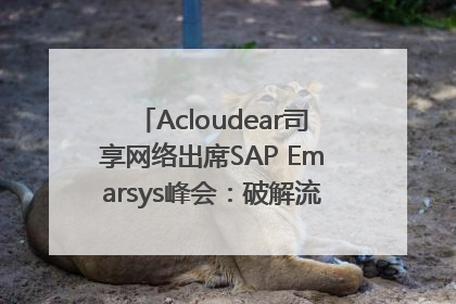 Acloudear司享网络出席SAP Emarsys峰会：破解流量困局，驱动精准增长