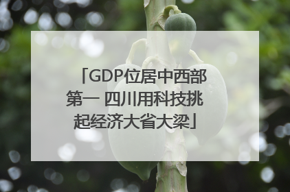 GDP位居中西部第一 四川用科技挑起经济大省大梁