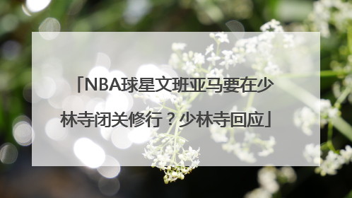 NBA球星文班亚马要在少林寺闭关修行？少林寺回应