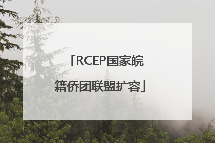 RCEP国家皖籍侨团联盟扩容