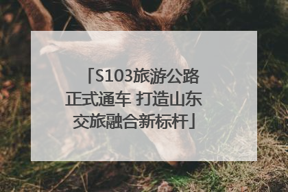 S103旅游公路正式通车 打造山东交旅融合新标杆