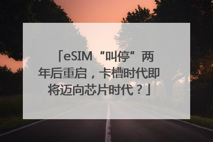 eSIM“叫停”两年后重启，卡槽时代即将迈向芯片时代？